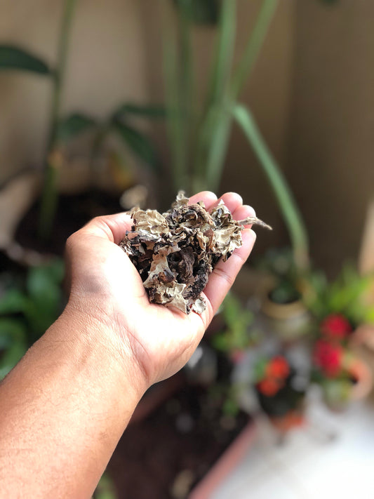 Dagad Phool used in EltheCook Readymade Tadka (Tempered SPice blends). Shipping worldwide