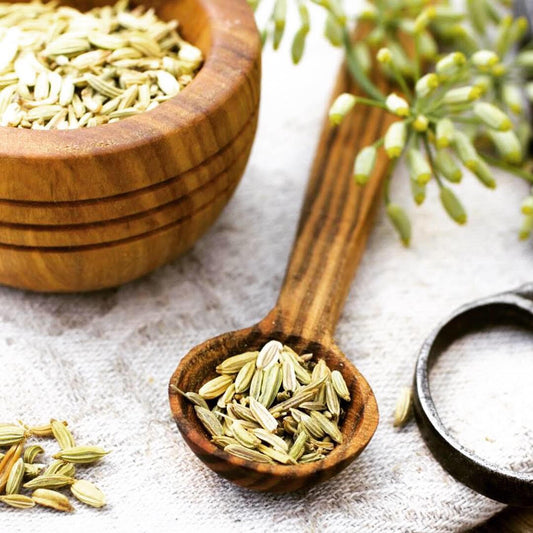 Fennel used in EltheCook Readymade Tadka (Tempered SPice blends). Shipping worldwide