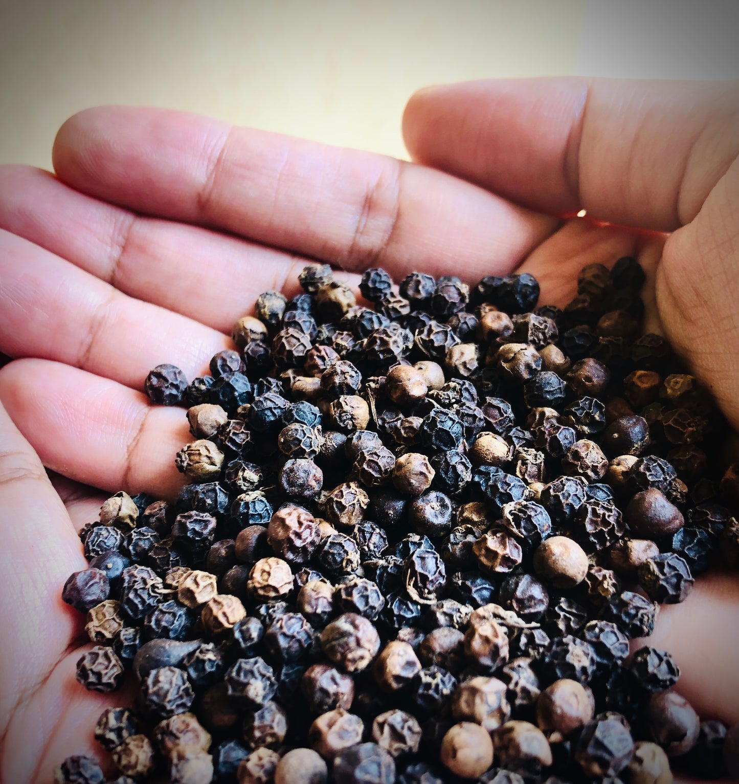 black peppercorns, whole black pepper, spices, Piperaceae, black pepper, peppercorn, black pepper spices, Elthecook buy online, shipping worldwide