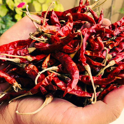 Dried Spicy Red Chilis 100g