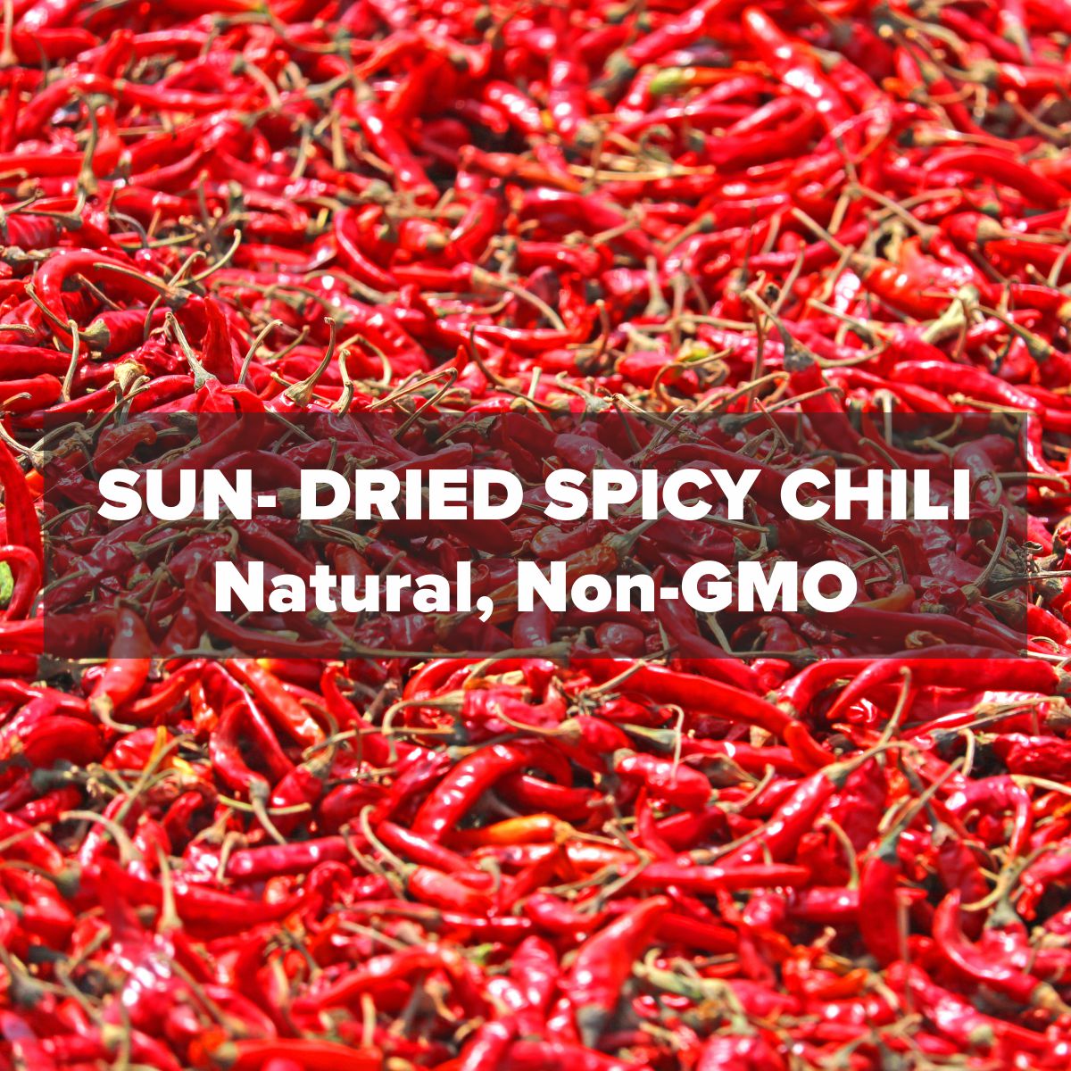 Dried Spicy Red Chilis 100g