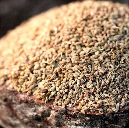 Ajwain used in EltheCook Readymade Tadka (Tempered SPice blends). Shipping worldwide