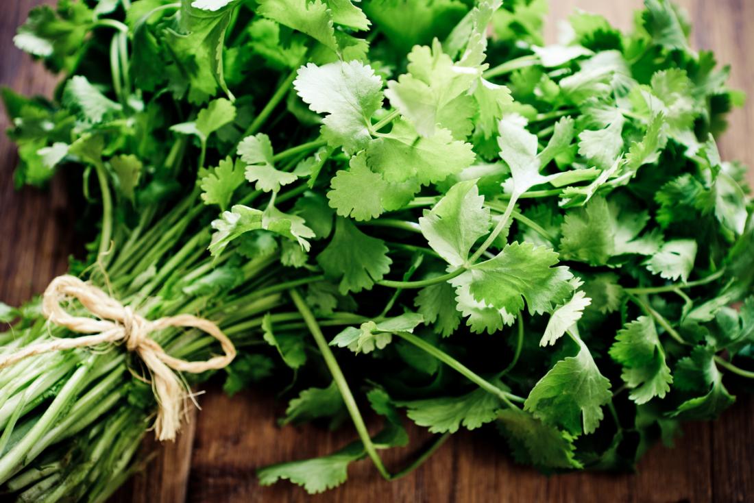 Coriander used in EltheCook Readymade Tadka (Tempered SPice blends). Shipping worldwide