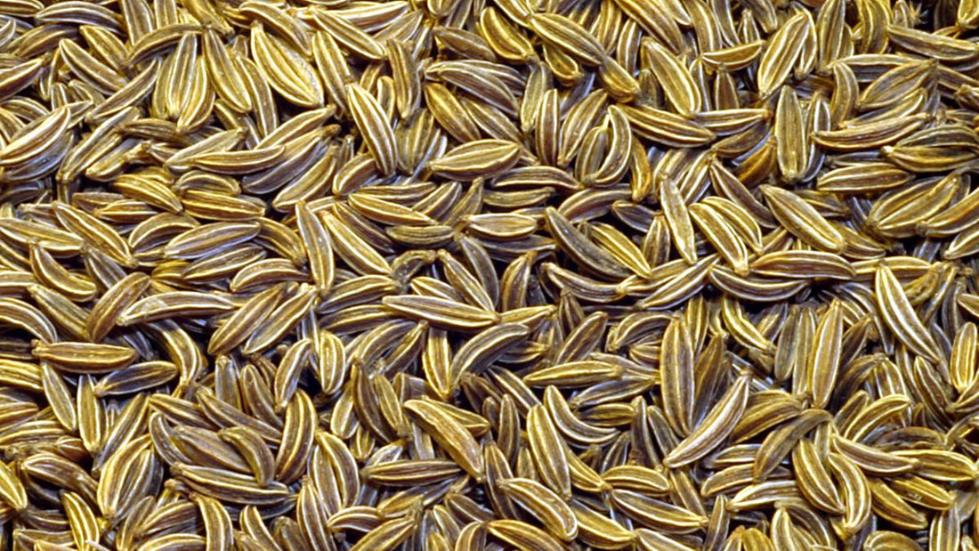 Cumin used in EltheCook Readymade Tadka (Tempered SPice blends). Shipping worldwide