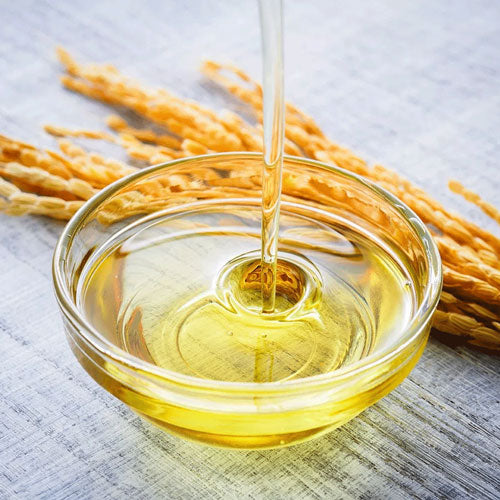 Know Your Oils - Rice Bran Oil