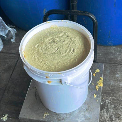 Industrial Yellow Mustard Paste Concentrate for sauce manufacturing | Bulk 20kg Drum