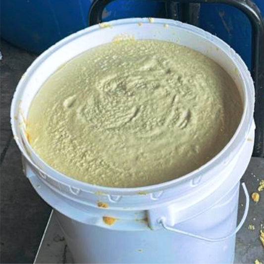 Industrial Yellow Mustard Paste Concentrate for sauce manufacturing | Bulk 20kg Drum