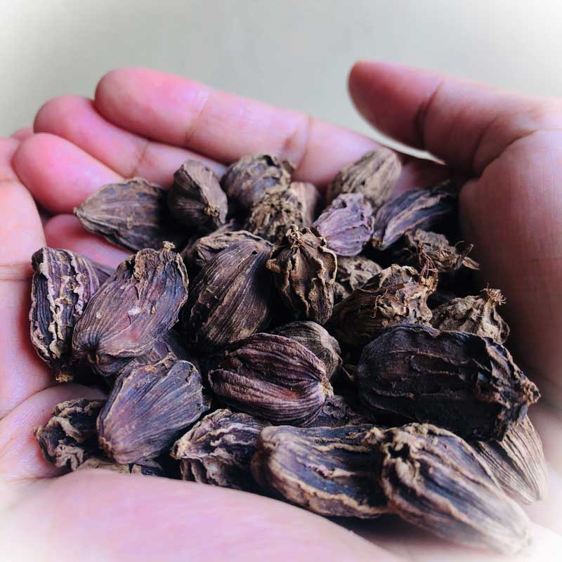 Black Cardamom, spices, premium quality cardamom, elaichi, premium quality elaichi,Black Cardamom, cardamom seeds, Elthecook buy online, shipping worldwide